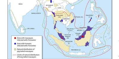 Kaart van maleisië malaria